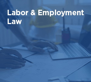Employment Law Employment Law